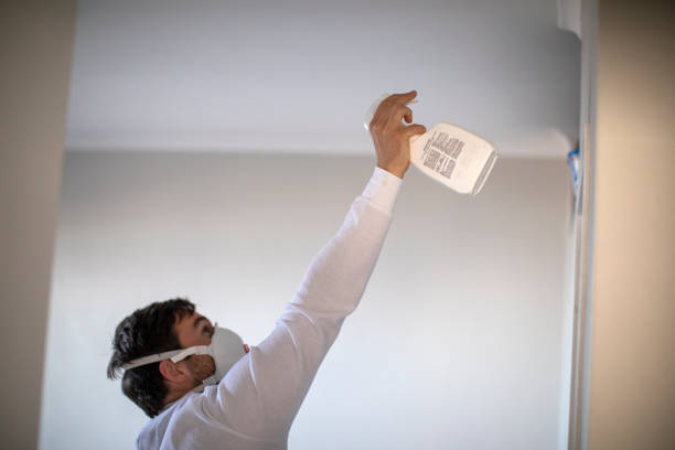 Best Attic Mold Remediation in Andrews, IN