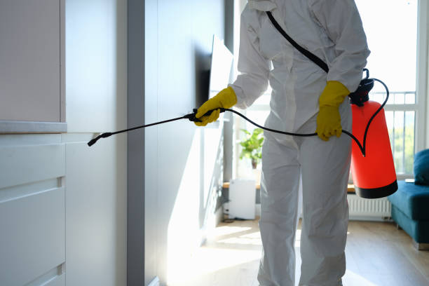 Professional Mold Remediation in Andrews, IN