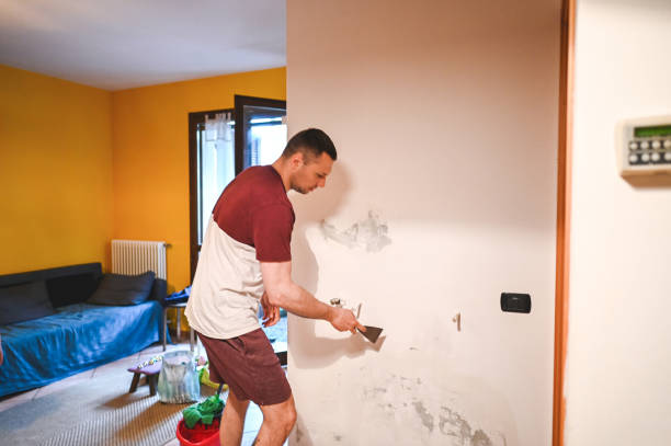 Best Health and Safety Mold Remediation in Andrews, IN